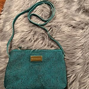BCBG (turquoise shoulder bag)